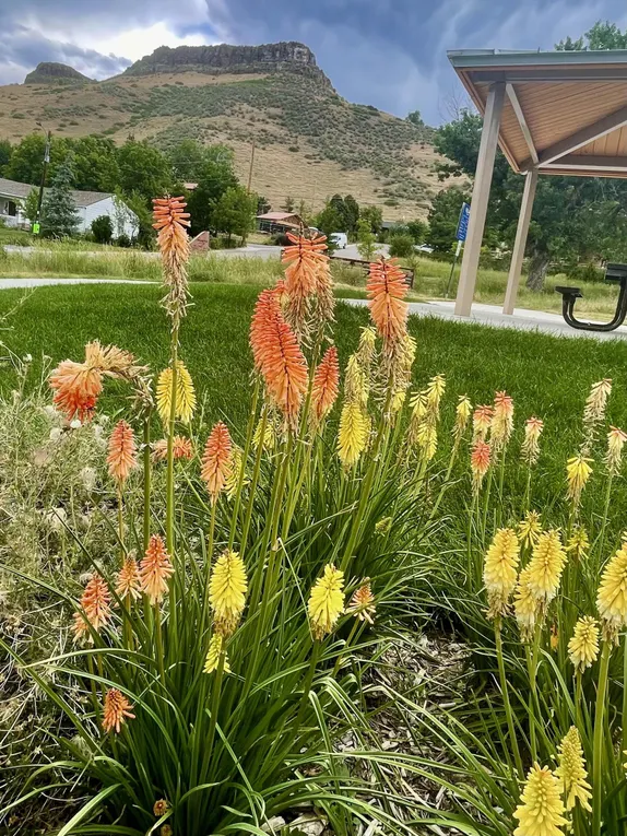 What's Happening in Golden - Wednesday, Jul. 9th, 2025