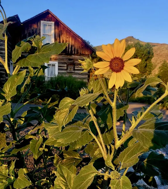 What's Happening in Golden - Tuesday, Jul. 8th, 2025