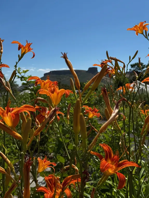 What's Happening in Golden - Sunday, Jul. 13th, 2025