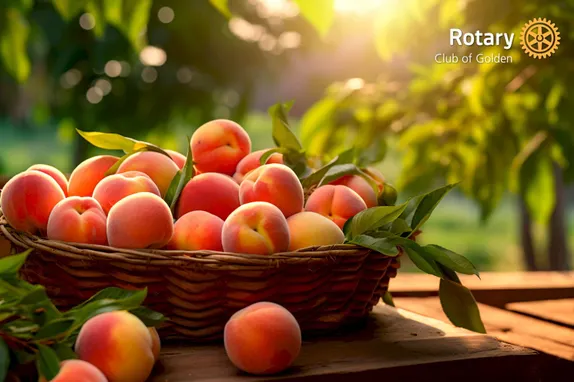 Rotary Peach Sale Closes Soon!