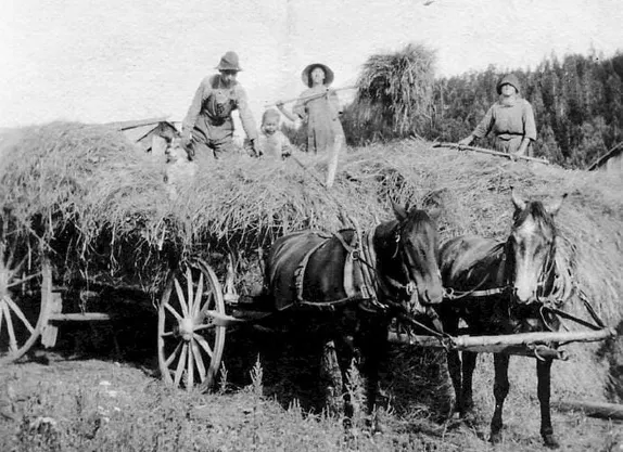 In the Aftermath of the Great War