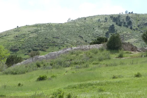 10AM Magic Mountain Field Trip @ Kinney Run Trail