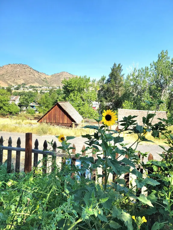 The History Park Garden