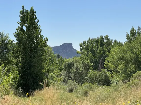 Summer View of Castle Rock
