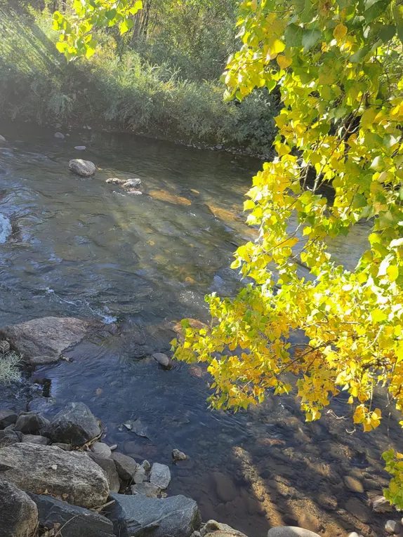 What's Happening in Golden - Tuesday, Sep. 30th, 2025