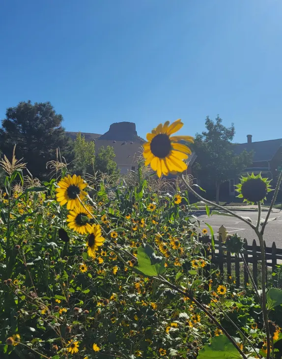 What's Happening in Golden - Thursday, Sep. 18th, 2025