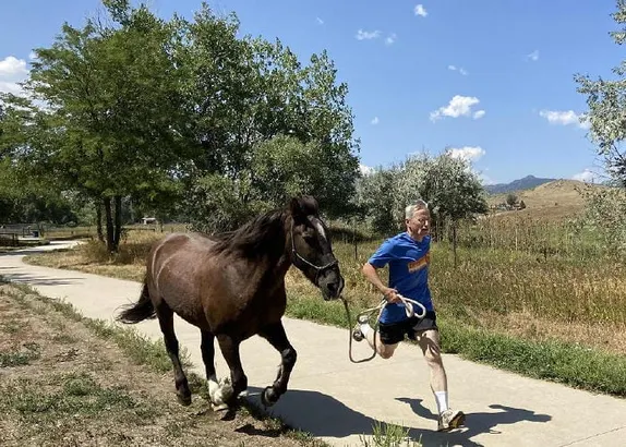 Golden Gallop is Tomorrow Morning