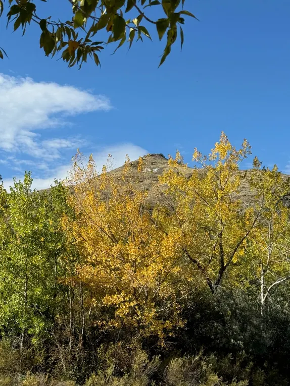 What's Happening in Golden - Friday, Oct. 17th, 2025