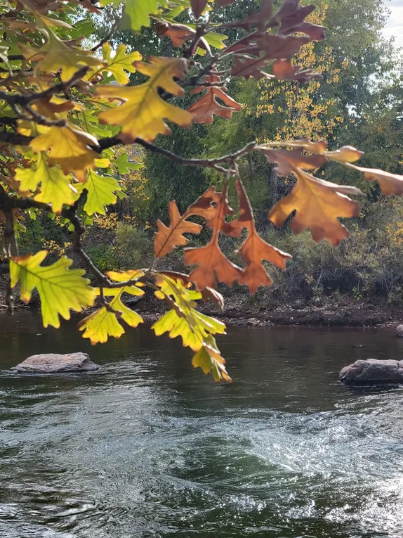 What's Happening in Golden - Saturday, Oct. 11th, 2025