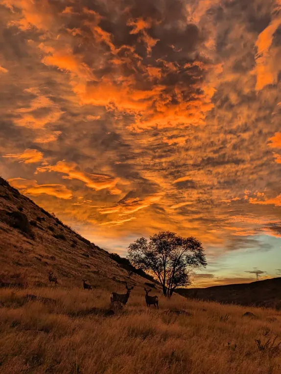 What's Happening in Golden - Monday, Oct. 27th, 2025