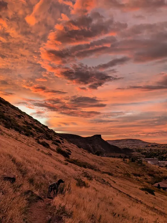 What's Happening in Golden - Thursday, Oct. 23rd, 2025