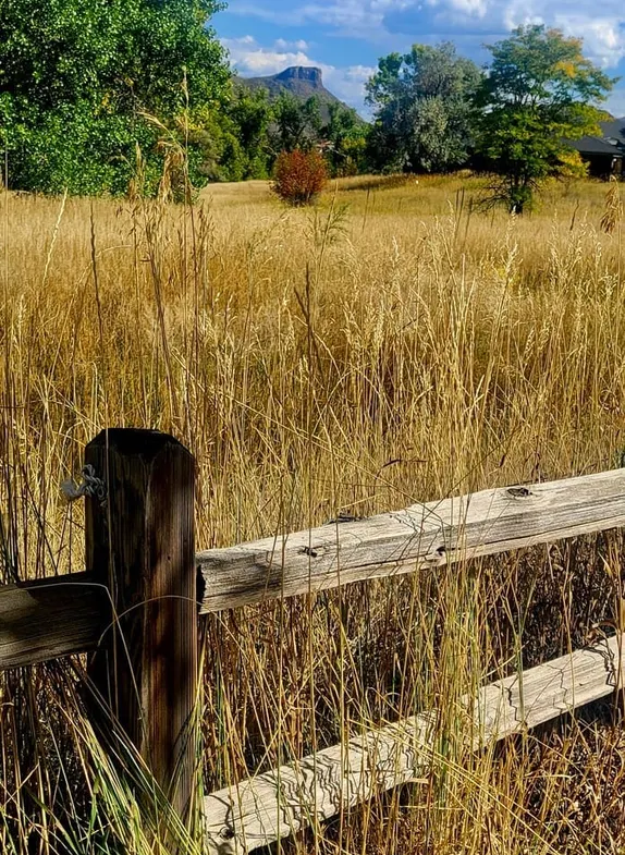 What's Happening in Golden - Saturday, Oct. 4th, 2025