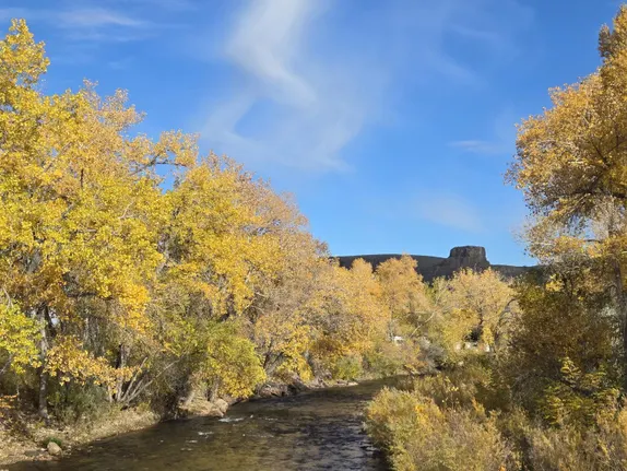 What's Happening in Golden - Tuesday, Oct. 28th, 2025