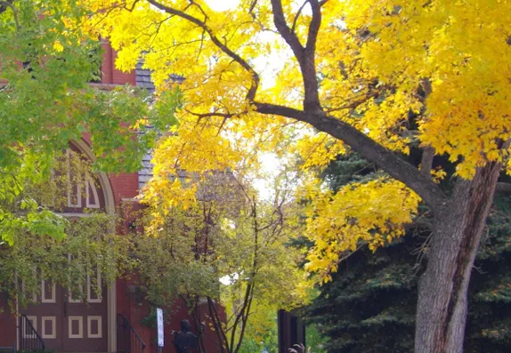 5:30-7:30PM The Fundamental Principles of Art @ Foothills Art Center