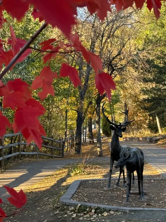 What's Happening in Golden - Tuesday, Nov. 4th, 2025