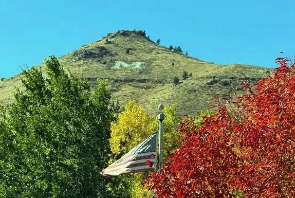 Veterans Day