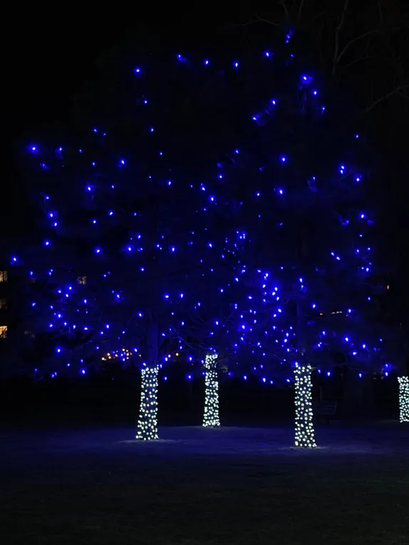 Blue Christmas