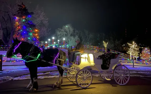6-8:45PM Private Holiday Light Carriage Rides