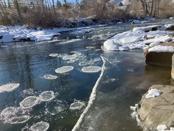 What's Happening in Golden - Sunday, Jan. 11th, 2026