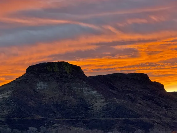 What's Happening in Golden - Sunday, Jan. 18th, 2026