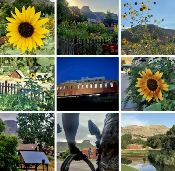 2025 Retrospective: August