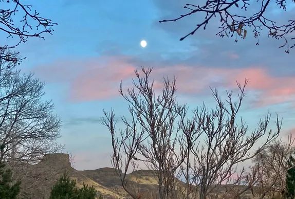 Summary of February Events