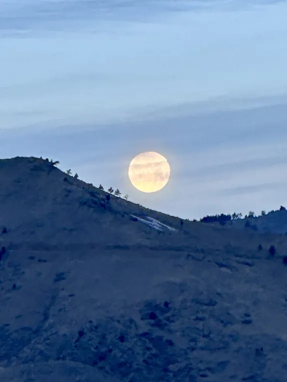 What's Happening in Golden - Wednesday, Feb. 4th, 2026