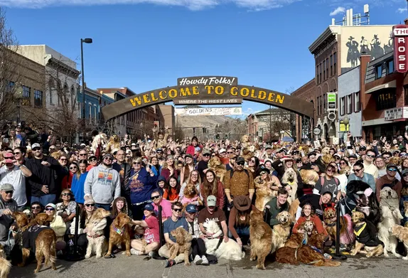 Goldens in Golden 2026 Recap