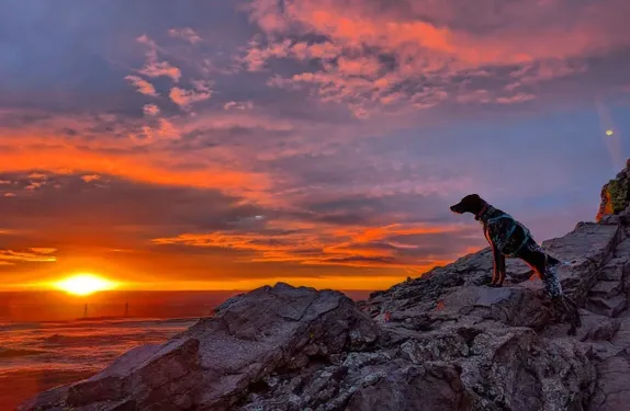 What's Happening in Golden - Wednesday, Feb. 11th, 2026