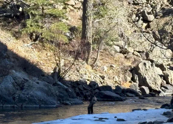 What's Happening in Golden - Sunday, Feb. 15th, 2026