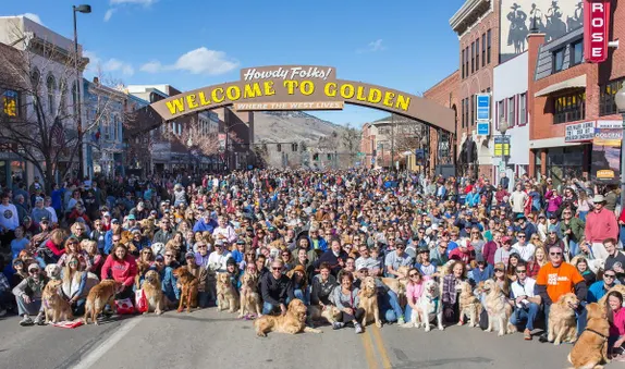 9AM-1PM Goldens in Golden