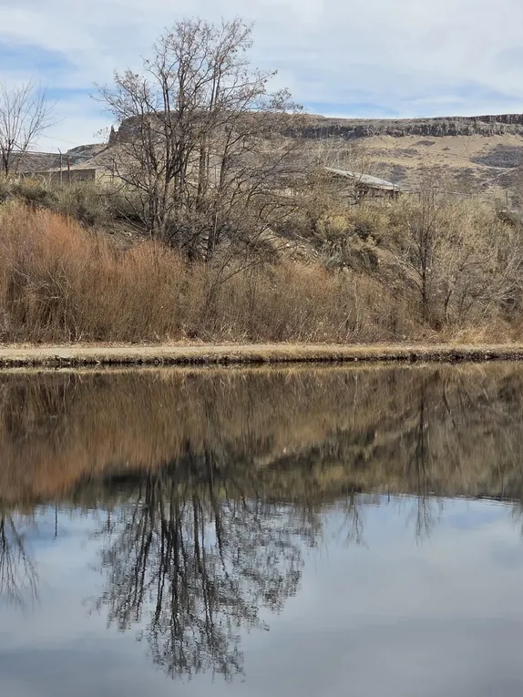 What's Happening in Golden - Thursday, Mar. 5th, 2026