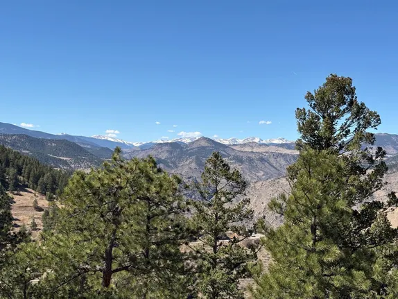 A Summer View in Late March