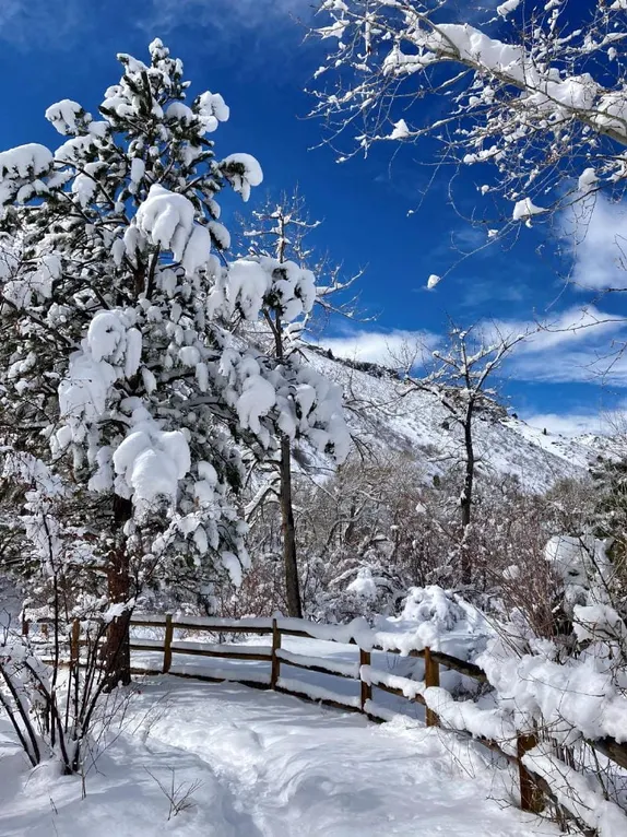 What's Happening in Golden - Sunday, Mar. 8th, 2026