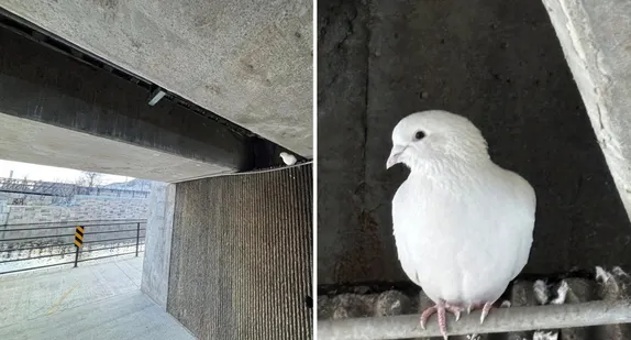 What's Happening in Golden - Sunday, Mar. 15th, 2026