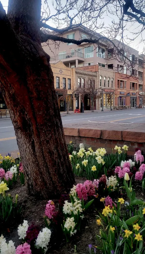 What's Happening in Golden - Sunday, Mar. 22nd, 2026