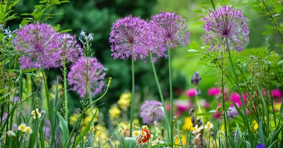 6:30-8PM Waterwise Yard Seminar (Virtual)