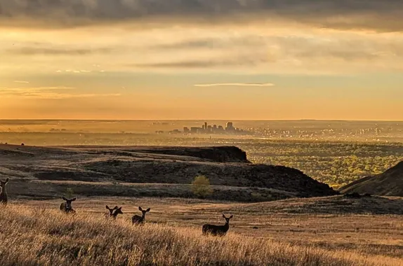 What's Happening in Golden - Thursday, Apr. 23rd, 2026