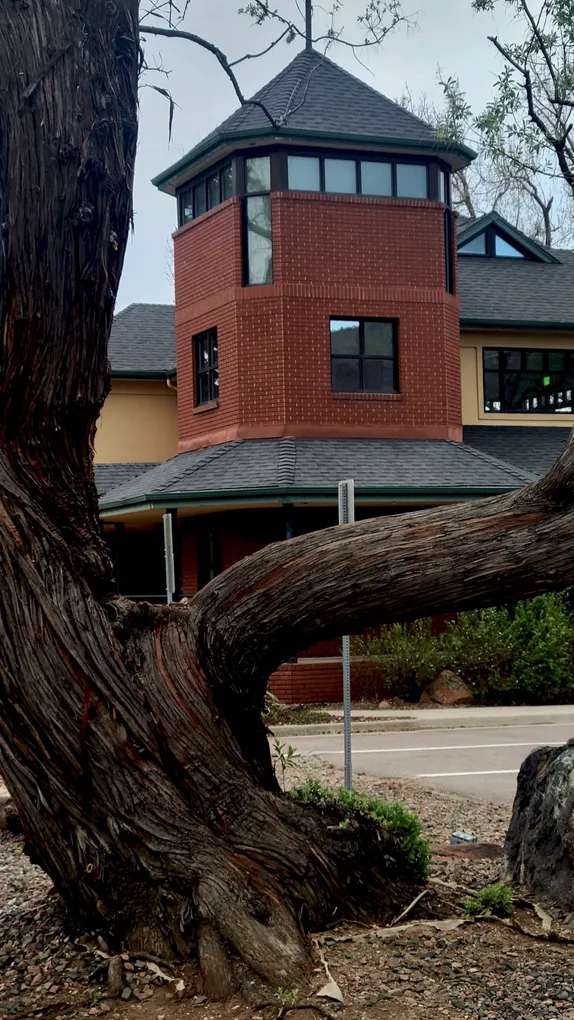 What's Happening in Golden - Wednesday, Apr. 8th, 2026