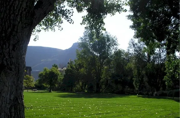 11AM-3PM School of Mines Student Walk-Out