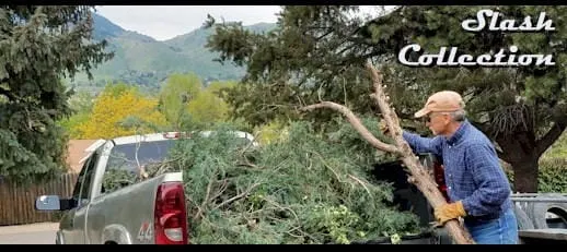 9AM-3:30PM SLASH Off-Season Windstorm Debris Drop-Off @ Tincup Ridge Slash Yard