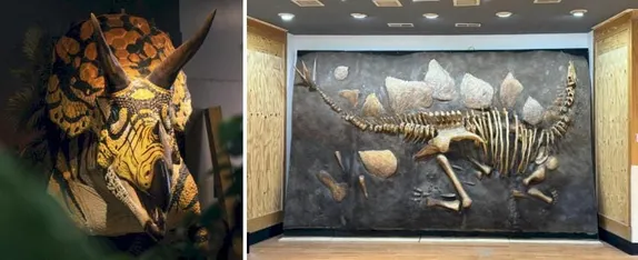 9AM Grand Re-Opening: Martin G. Lockley Discovery Center  @ Martin G. Lockley Discovery Center