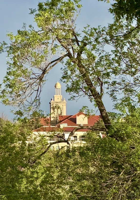 Spring Evening on the Campus