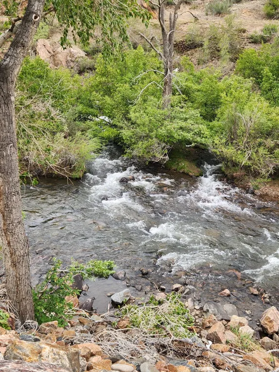 A Bit of Runoff from the Storm!