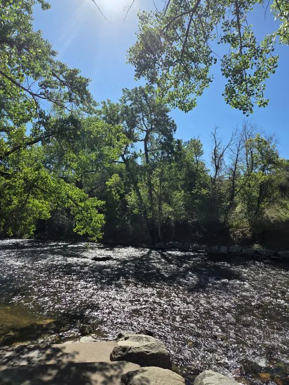 Sunlight and Shadows on the Creek