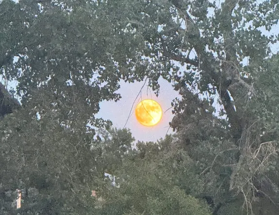 Full Moon Tonight