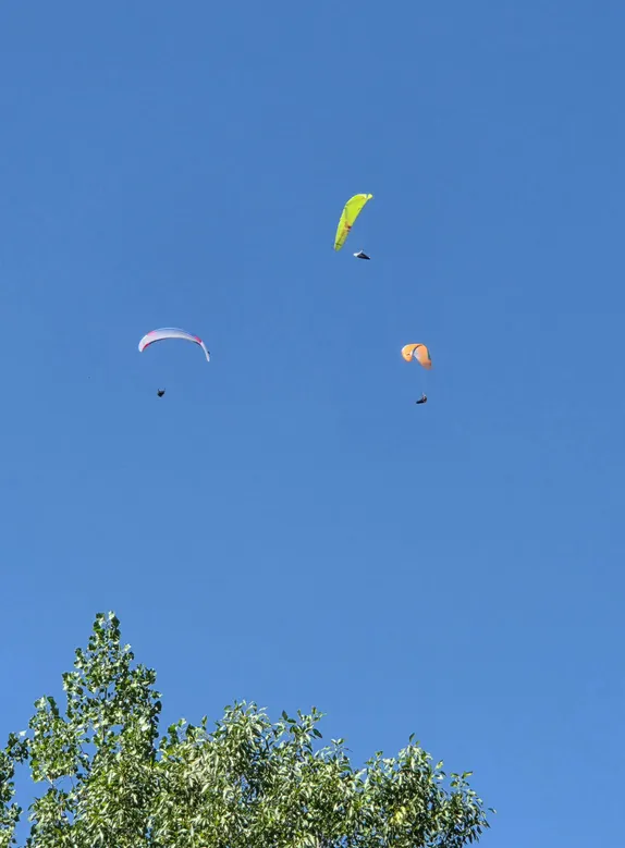 What's Happening in Golden - Tuesday, Jul. 28th, 2026