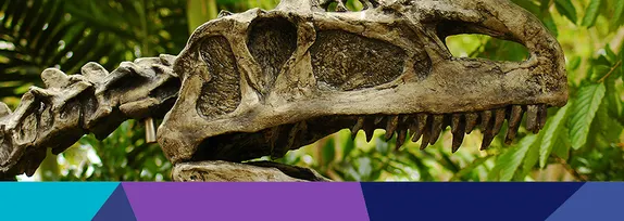 2-3PM Virtual / Call In: Active Minds Mondays — Dinosaurs