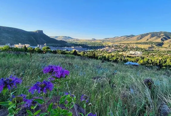 What's Happening in Golden - Thursday, Jul. 16th, 2026