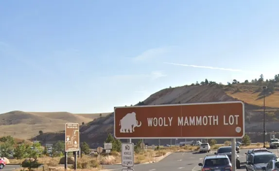 Wooly (?) Mammoths